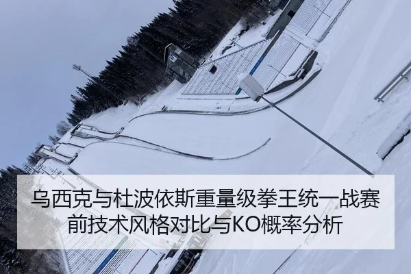 乌西克与杜波依斯重量级拳王统一战赛前技术风格对比与KO概率分析